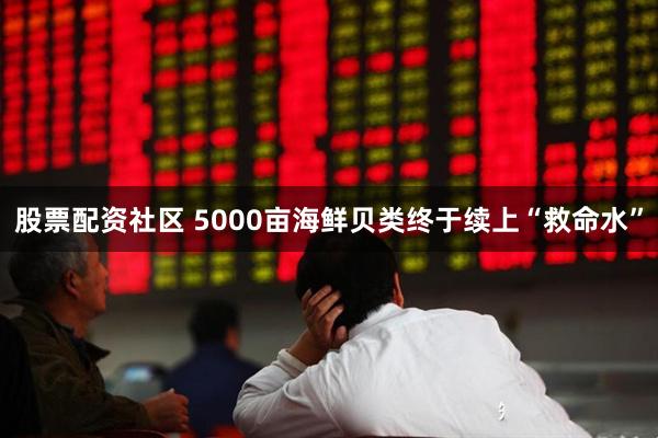 股票配资社区 5000亩海鲜贝类终于续上“救命水”
